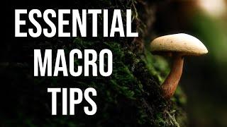Essential macro tips I wish I'd known earlier