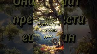 На свете нет таких вершин, что покорить нельзя... #shorts #стихи  #жизненнаяпоэзия  #цитаты #любовь