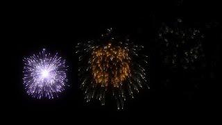 Happy New Year Fireworks Animation Green Screen & Black Screen l Merry Christmas