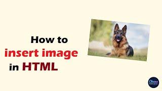 How to insert image in HTML web page using notepad