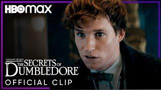 Newt Scamander Confuses ﻿Grindelwald | ﻿Fantastic Beasts: The Secrets of Dumbledore | HBO Max