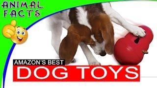 Top 5 Best Interactive Dog Toys on Amazon Dogs 101