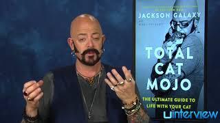 Jackson Galaxy On 'Total Cat Mojo,' Cat Training Tips