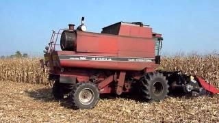 Corn harvest with Case IH 1660 axial flow