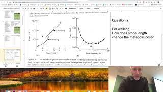 Evolutionary robotics lecture 12: Legged locomotion. (Feb 26, 2019)