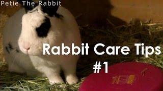 Rabbit Care Tip #1 - Heat Pads