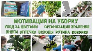 Мотивация на уборку / Мой уход за комнатными цветами / Организация хранения / Рутинные дела