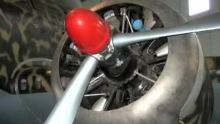 Savoia Marchetti SM-79 WalkAround