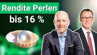 Unbekannte Dividenden-Perlen bis 16 % Rendite ► Mit Swen Lorenz und Norbert Schmidt