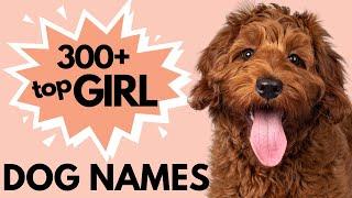 300+ Unique Female Dog Names | Girl Dog Names
