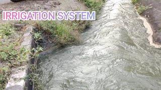 IRRIGATION SYSTEM