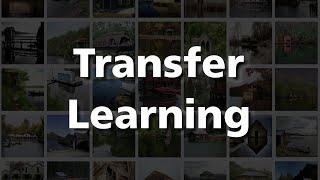 11. Transfer Learning for Domain-Specific Image Classification with Small Datasets