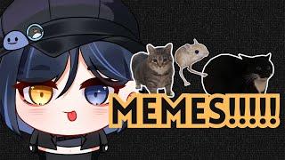 Meme Reaction Time!!【VTUBER ID】