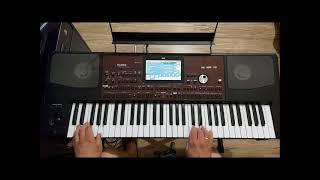 Aparaty -To jest noc cover Łukasz Korg Pa-700