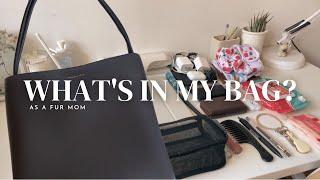 what’s in my bag as a fur mom (philippines) #charlesandkeith