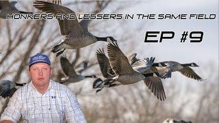 HONKERS & LESSERS IN THE SAME FIELD - Ep # 9 Field Facts With Forrest