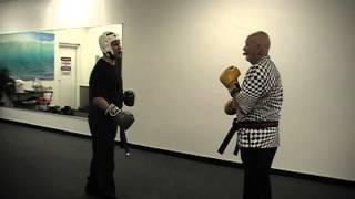 David Hays Jeff Sanuik Sparring drills