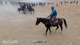 Ko'pkari  Shahrisabz tuman Meraki  horse makeover  equsterian | horseshow alochi.uz