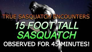 15 FOOT TALL SASQUATCH OBSERVED FOR 45 MINUTES!