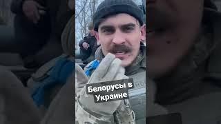 ️ Белорусы в Украине освободили Лукьяновку вместе с ВСУ / Украина сейчас. Последние новости