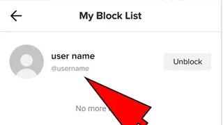 How To See TikTok Block List