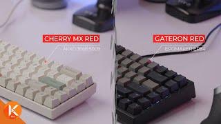 Cherry MX Red Switches Vs. Gateron Red Switches Typing Sounds ASMR