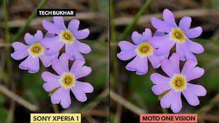 Xperia 1 vs Motorola Moto One Vision Camera Comparison || #Xperia1, #MotoOnevision, #TECHBUKHAR