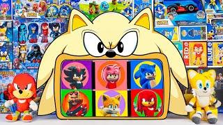 Sonic The Hedgehog Mystery Box Toys Unboxing Review | Sonic, Tails, Knuckles, Shadow, Amy Rose