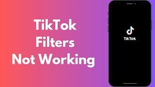 How to Fix TikTok Filters Not Working in iPhone (2024)