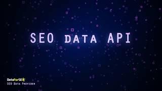 SEO data API Provider