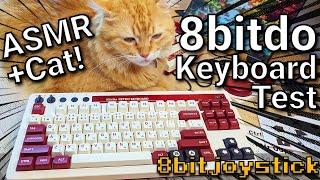 8bitdo Retro Mechanical ASMR Keyboard Test WITH CAT!! - 8bitjoystick