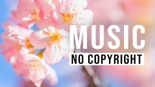 Happy Piano Music  Spring Joy  [FREE MP3 DOWNLOAD - NO COPYRIGHT MUSIC]