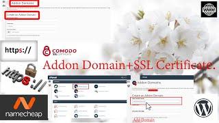 *Addon Domains *Addon Domains in Namecheap *SSL Certificate *HTTPS availability*Installed WordPress.