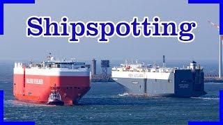 Shipspotting in Zeebrugge | Carcarrier, Pilot Vessel, Containerships, RoRo...