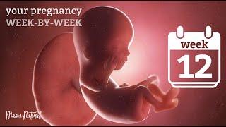 12 Weeks Pregnant - Natural Pregnancy Week-By-Week