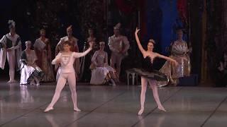 Swan Lake. Fragment Black Swan Adagio. Archive of Aleh Lukashevich