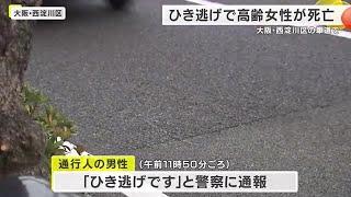 大阪市西淀川区でひき逃げ　87歳の女性が死亡　黒のSUVが逃走 (2024/12/21 17:56)