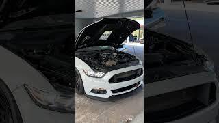 2017 Mustang GT with 2020 GT500 Predator engine swap  #vmpperformance