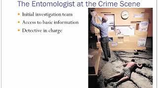 13 1 The Entomologist at the Crime Scene pt 1