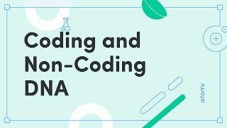 Y11-12 Biology: Coding and Non-Coding DNA