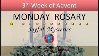 Monday Rosary • Joyful Mysteries of the Rosary  December 16, 2024 VIRTUAL ROSARY - MEDITATION