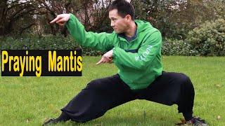 Shaolin Kung Fu Wushu Praying Mantis For Beginners Step by Step -Session 1