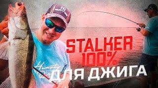 100% ДЛЯ ДЖИГА. Обзор спиннинга Hearty Rise Stalker