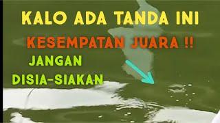 TANDA IKAN NGUMPUL DI LAPAK KALIAN / MANCING IKAN MAS HARIAN  #mancing #mancingikanmas #mancingmania