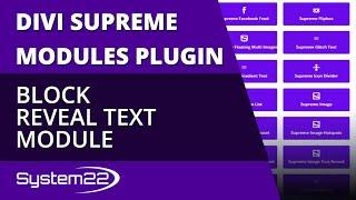 Divi Theme Supreme Block Reveal Text Module 