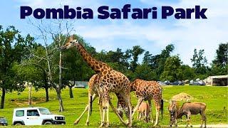 4K | Pombia Safari Park Vlog ( ZOO ) Lago Maggiore , Novara , Italy