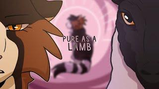 Pure as a lamb || PMV