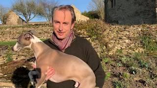 Art in Isolation: Philip Mould from Duck End Episode 1