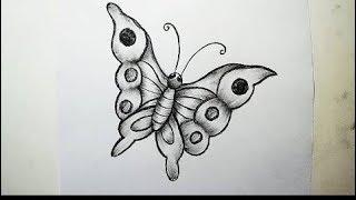 How to Draw a Butterfly. (Focal pencil)