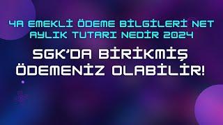 4a Emekli Ödeme Bilgileri Net Aylık Tutarı Nedir 2025 & Birikmiş Ödemeniz Olabilir